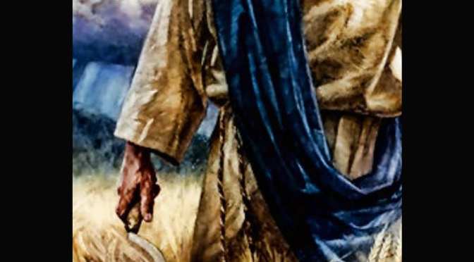 1.17 The Great Harvest