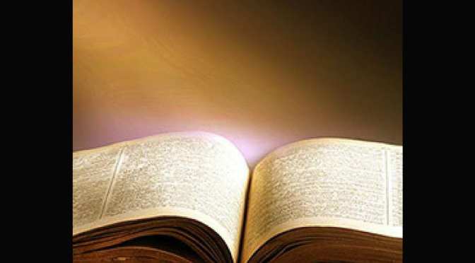 The Book of Life (13)